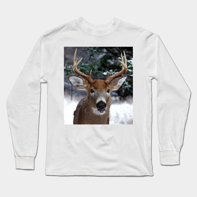 Play with me? White-tailed buck Long Sleeve T-Shirt by Jim Cumming